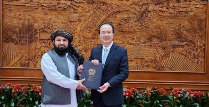 中国接受阿富汗大使国书后，塔利班临时政府表态：美国算盘落空了
