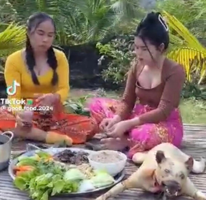 柬女子直播吃狗肉引热议 排雷中心主任呼吁采取措施